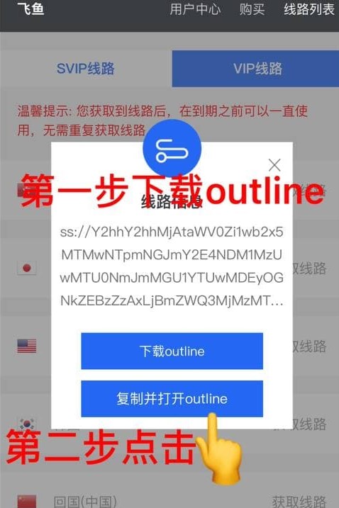 步骤七：下载并打开 Outline